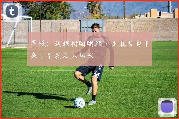 早报：这棵树刚刚爬上去就匆匆下来了引发众人热议