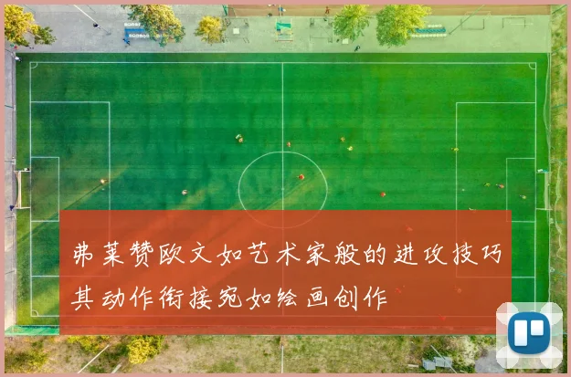 弗莱赞欧文如艺术家般的进攻技巧其动作衔接宛如绘画创作